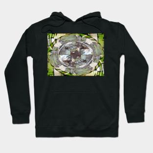 Bandstand Hoodie